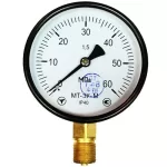 Манометр МТ-3У-М радіальний 60 МПа кл. 1,5 М20x1,5